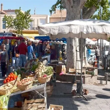 House Chateau Vert 27 Agde